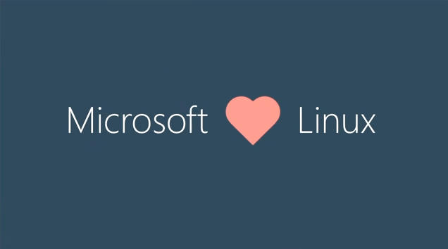 Microsoft ama a Linux